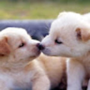 Meet your Posher, Jane